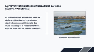 LA PRÉVENTION CONTRE LES INONDATIONS DANS LES
RÉGIONS VALLONNÉES :
La prévention des inondations dans les
régions vallonnées est cruciale pour
réduire les risques et l'intensité des
crues causées par le ruissellement des
eaux de pluie vers les bassins inférieurs.
Se baser sur les zones humides
 