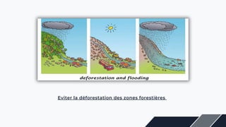 Eviter la déforestation des zones forestières
 