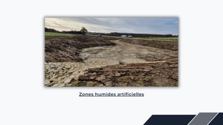 Zones humides artificielles
 