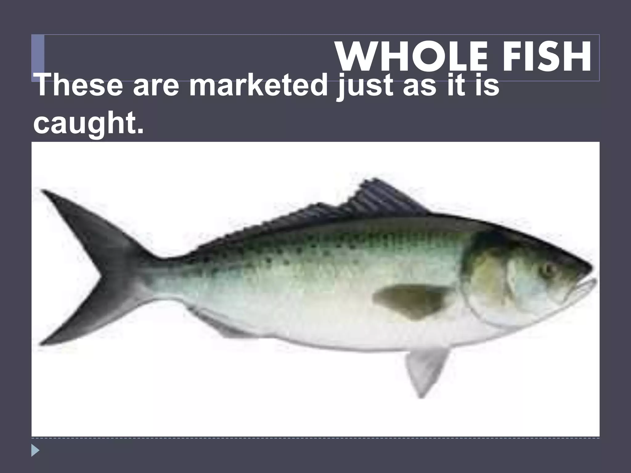 WHOLE FISH
These are marketed just as it is
caught.
 