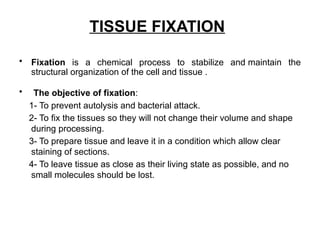 PREPARATION OF HISTOLOGICAL SPECIMENS 2 copy.pptx