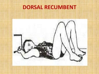 DORSAL RECUMBENT
 