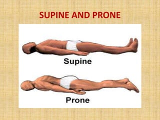 SUPINE AND PRONE
 