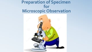 Preparation of Specimen
for
Microscopic Observation
 