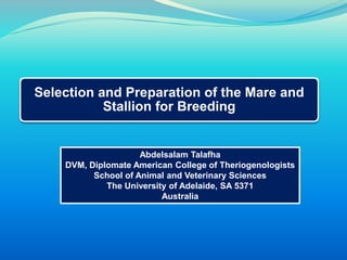 Selection and Preparation of the Mare and 
Stallion for Breeding 
Abdelsalam Talafha 
DVM, Diplomate American College of Theriogenologists 
School of Animal and Veterinary Sciences 
The University of Adelaide, SA 5371 
Australia 
 