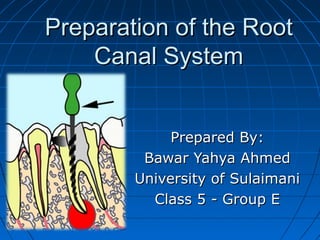 Preparation of the RootPreparation of the Root
Canal SystemCanal System
Prepared By:Prepared By:
Bawar Yahya AhmedBawar Yahya Ahmed
University of SulaimaniUniversity of Sulaimani
Class 5 - Group EClass 5 - Group E
 