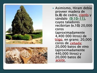  Asimismo, Hiram debía
proveer madera de
(v.8) de cedro, ______ y
sándalo (9:10-11),
cuyos taladores
recibirían (v.10) 20,000
coros
(aproximadamente
4,400 000 litros) de
_____ en grano; 20,000
coros de _______;
20,000 batos de vino
(aproximadamente
440,000 litros) y
20,000 batos de
______.
ciprés
trigo
cebada
aceite
 