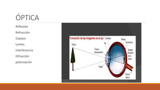 ÓPTICA
Reflexión
Refracción
Espejos
Lentes
Interferencia
Difracción
polarización
 