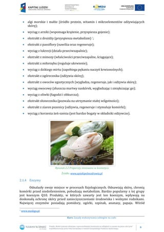 6
Kurs: Zasady wykonywania zabiegów na ciało
algi morskie i małże (źródło protein, witamin i mikroelementów odżywiających
skórę);
wyciąg z arniki (wspomaga krążenie, przyspiesza gojenie);
ekstrakt z drożdży (przyspiesza metabolizm) 7;
ekstrakt z passiflory (nawilża oraz regeneruje);
wyciąg z lukrecji (działa przeciwzapalnie);
ekstrakt z mimozy (właściwości przeciwzapalne, ściągające);
ekstrakt z miłorzębu (reguluje ukrwienie);
wyciąg z dzikiego mirtu (zapobiega pękaniu naczyń krwionośnych);
ekstrakt z ogórecznika (odżywia skórę);
ekstrakt z owoców egzotycznych (wygładza, regeneruje, jak i odżywia skórę);
wyciąg owocowy (złuszcza martwy naskórek, wygładzając i zmiękczając go);
wyciąg z oliwki (łagodzi i obkurcza);
ekstrakt słonecznika (pozwala na utrzymanie stałej wilgotności);
ekstrakt z ziaren pszenicy (odżywia, regeneruje i stymuluje komórki);
wyciąg z korzenia żeń-szenia (jest bardzo bogaty w składniki odżywcze).
Rysunek 2.2 Preparaty stosowane w kosmetyce
Źródło: www.aptekipelnezdrowia.pl
2.1.4 Enzymy
Odnalazły swoje miejsce w procesach fizjologicznych. Odnawiają skórę, chronią
komórki przed niedotlenieniem, pobudzają metabolizm. Bardzo popularny z tej grupy
jest koenzym Q10. Produkty, w których zawarty jest ten koenzym, wpływają na
doskonałą ochronę skóry przed zanieczyszczeniami środowiska i wolnymi rodnikami.
Najwięcej enzymów posiadają pomidory, ogórki, szpinak, ananasy, papaja. Wśród
7 www.medigo.pl
 