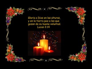 Gloria a Dios en las alturas,
y en la tierra paz a los que
gozan de su buena voluntad.
Lucas 2:14
 