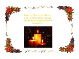 Gloria a Dios en las alturas,  y en la tierra paz a los que  gozan de su buena voluntad. Lucas 2:14 