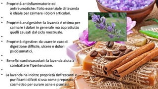 • Proprietà antinfiammatorie edProprietà antinfiammatorie ed
antireumatiche: l’olio essenziale di lavandaantireumatiche: l’olio essenziale di lavanda
è ideale per calmare i dolori articolari.è ideale per calmare i dolori articolari.
•
• Proprietà analgesiche: la lavanda è ottima perProprietà analgesiche: la lavanda è ottima per
calmare i dolori in generale ma soprattuttocalmare i dolori in generale ma soprattutto
quelli causati dal ciclo mestruale.quelli causati dal ciclo mestruale.
•
• Proprietà digestive: da usare in caso diProprietà digestive: da usare in caso di
digestione difficile, ulcere e doloridigestione difficile, ulcere e dolori
psicosomatici.psicosomatici.
•
• Benefici cardiovascolari: la lavanda aiuta aBenefici cardiovascolari: la lavanda aiuta a
combattere l’ipertensione.combattere l’ipertensione.
•
• La lavanda ha inoltre proprietà rinfrescanti eLa lavanda ha inoltre proprietà rinfrescanti e
purificanti difatti si usa come preparatopurificanti difatti si usa come preparato
cosmetico per curare acne e psoriasi.cosmetico per curare acne e psoriasi.
 