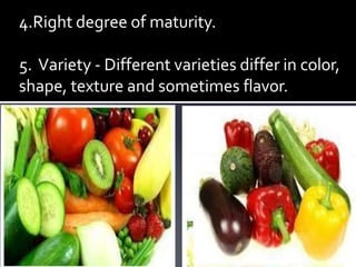 4.Right degree of maturity.
5. Variety - Different varieties differ in color,
shape, texture and sometimes flavor.
 