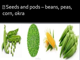 Seeds and pods – beans, peas,
corn, okra
 