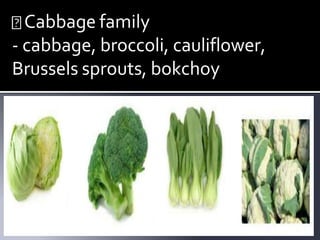 Cabbage family
- cabbage, broccoli, cauliflower,
Brussels sprouts, bokchoy
 