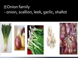 Onion family
- onion, scallion, leek, garlic, shallot
 