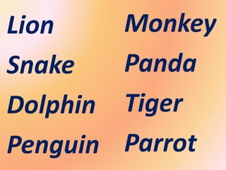 Lion
Snake
Dolphin
Penguin
Monkey
Panda
Tiger
Parrot