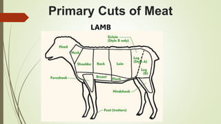 Primary Cuts of Meat
LAMB
 
