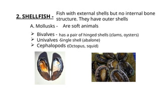 Structure Shellfish Prepare and cook seafood dishes powerpoint. | PPTX