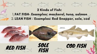 FAT FISH- Examples: mackerel, tuna, salmon
LEAN FISH - Examples: Red Snapper, sole, cod
2 Kinds of Fish:
1.
2.
RED FISH
SOLE
FISH
COD FISH
 