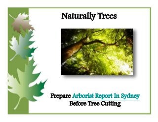 Naturally Trees
Prepare Arborist Report In Sydney
Before Tree Cutting
 