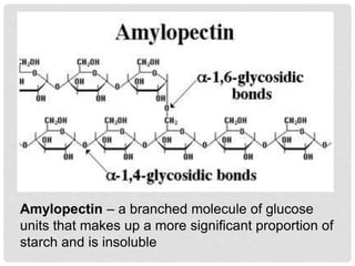 Amylopectin – a branched molecule of glucose
units that makes up a more significant proportion of
starch and is insoluble
 
