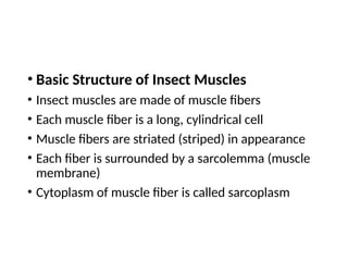 Insect Muscules skeleton of insect exoskeleton and endoskeleton | PPTX