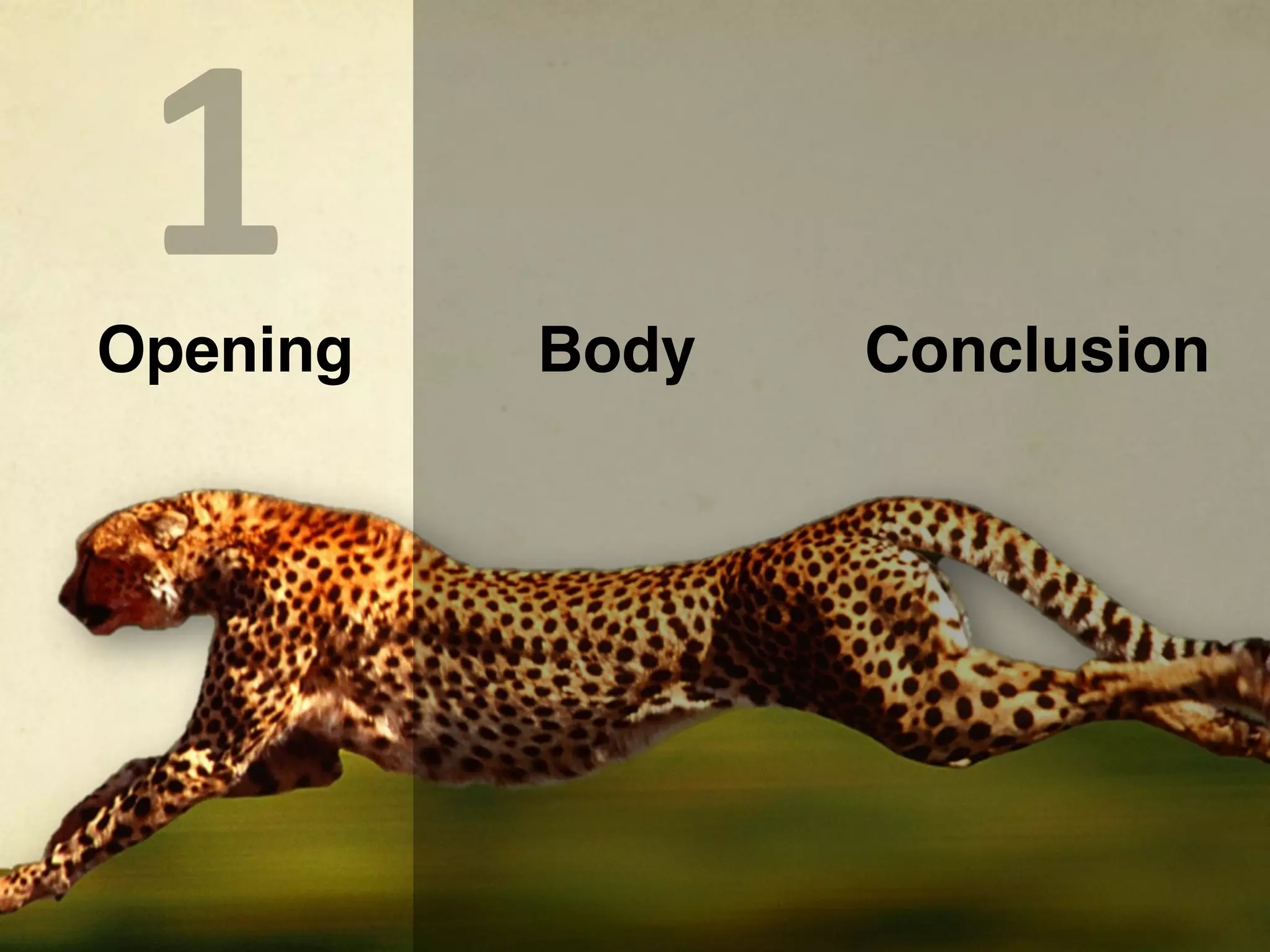 1
Opening   Body   Conclusion
 