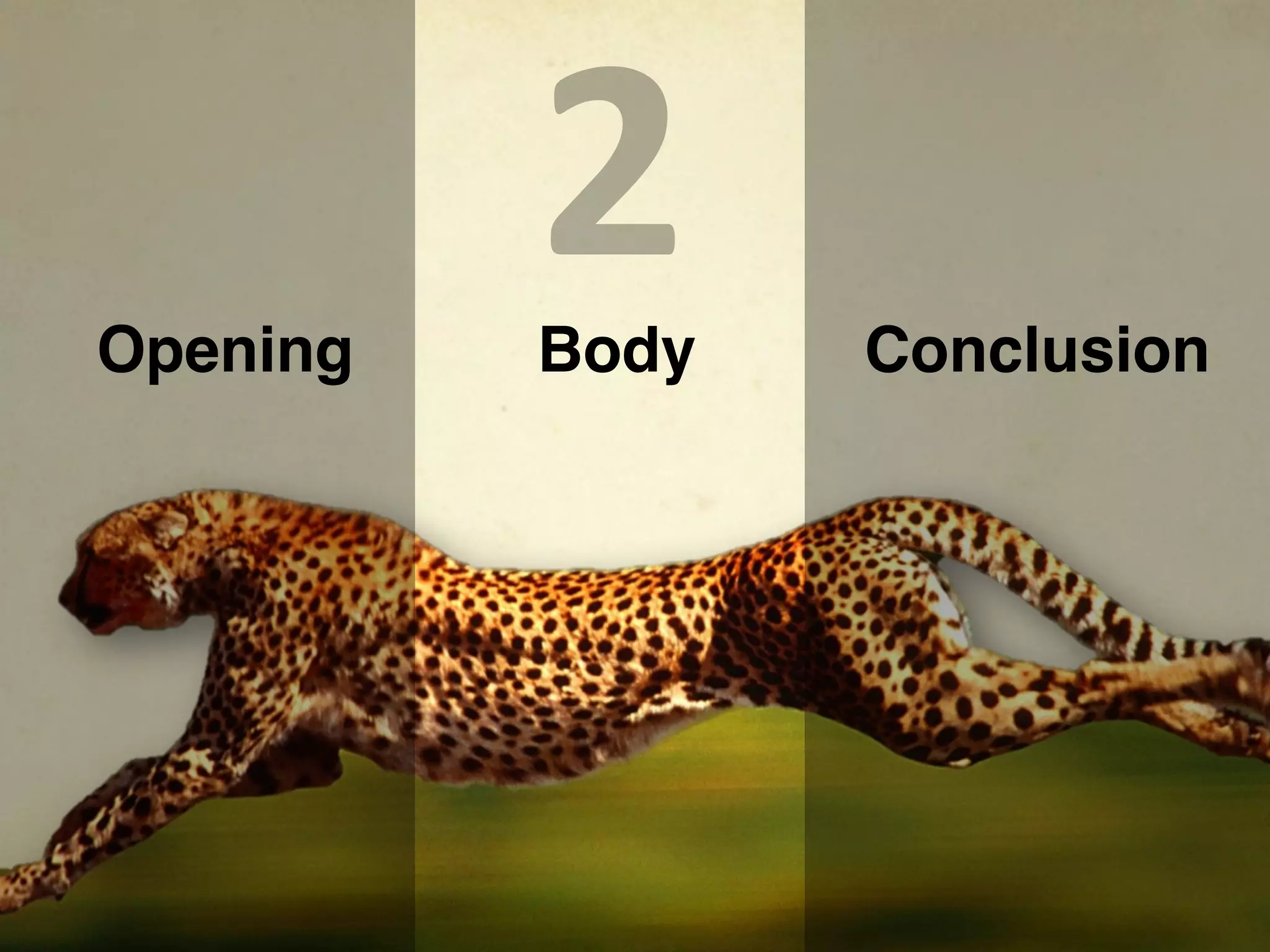 Opening
          2
          Body   Conclusion
 