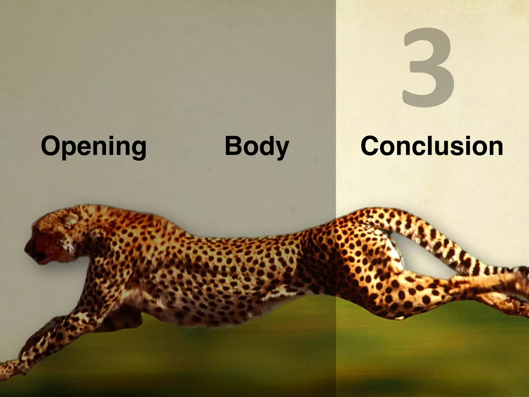 Opening   Body
                   3
                 Conclusion
 