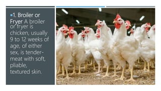 1. Broiler or
Fryer A broiler
or fryer is
chicken, usually
9 to 12 weeks of
age, of either
sex, is tender-
meat with soft,
pliable,
textured skin.
 