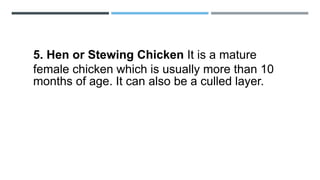 5. Hen or Stewing Chicken It is a mature
female chicken which is usually more than 10
months of age. It can also be a culled layer.
 