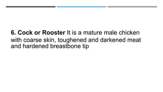 6. Cock or Rooster It is a mature male chicken
with coarse skin, toughened and darkened meat
and hardened breastbone tip
 
