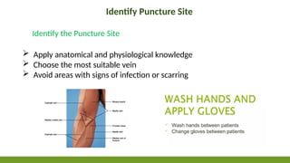 Identify Puncture Site
 Apply anatomical and physiological knowledge
 Choose the most suitable vein
 Avoid areas with signs of infection or scarring
Identify the Puncture Site
 