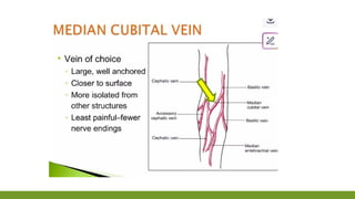 Prepare the Client for Phlebotomy Procedure.pptx