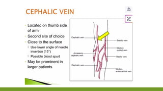 Prepare the Client for Phlebotomy Procedure.pptx