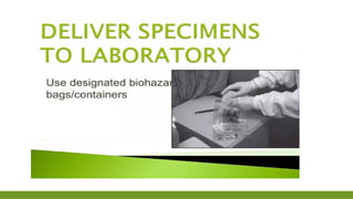 Prepare the Client for Phlebotomy Procedure.pptx