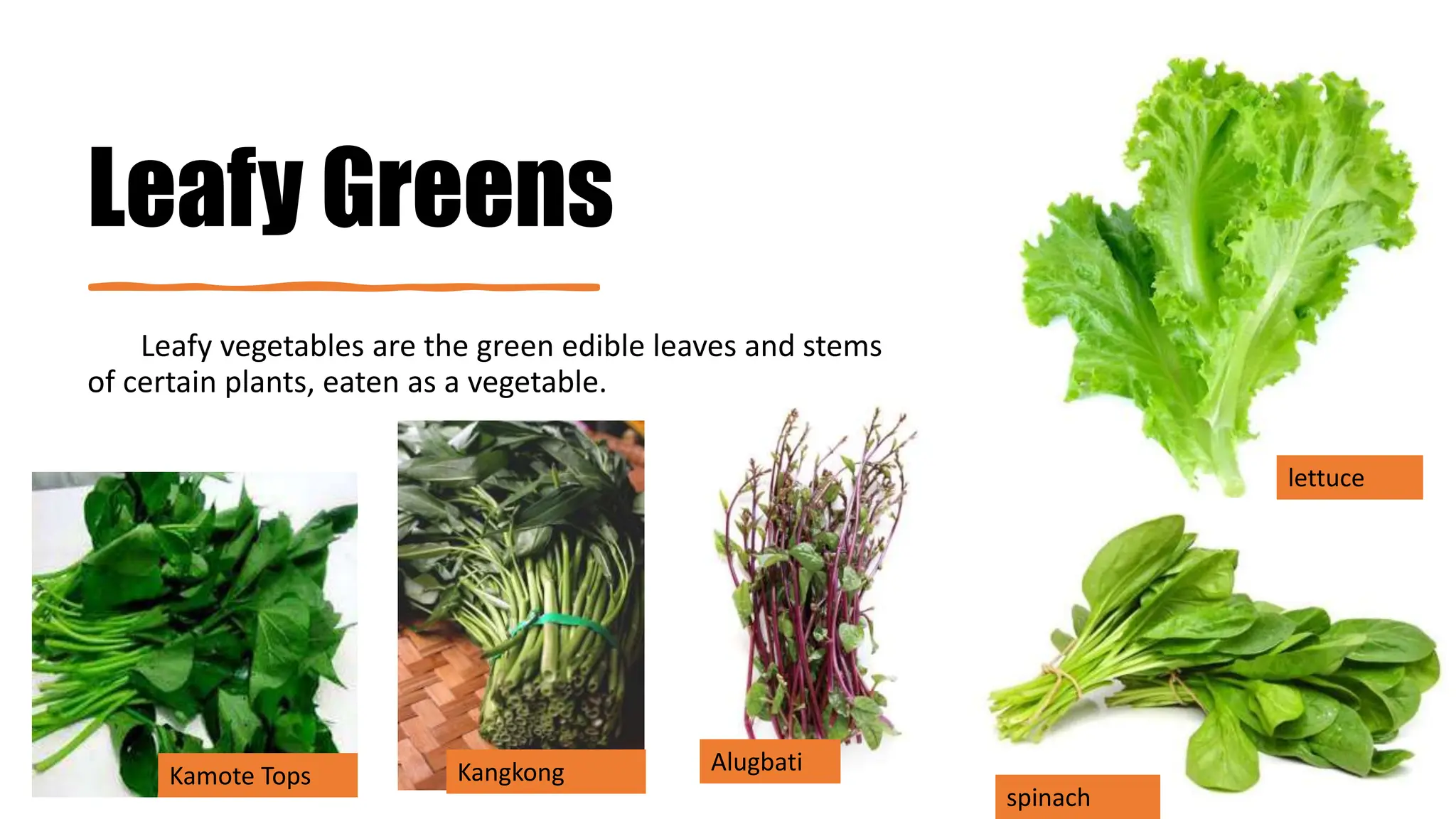 Leafy Greens
Leafy vegetables are the green edible leaves and stems
of certain plants, eaten as a vegetable.
lettuce
spinach
Alugbati
Kangkong
Kamote Tops
 