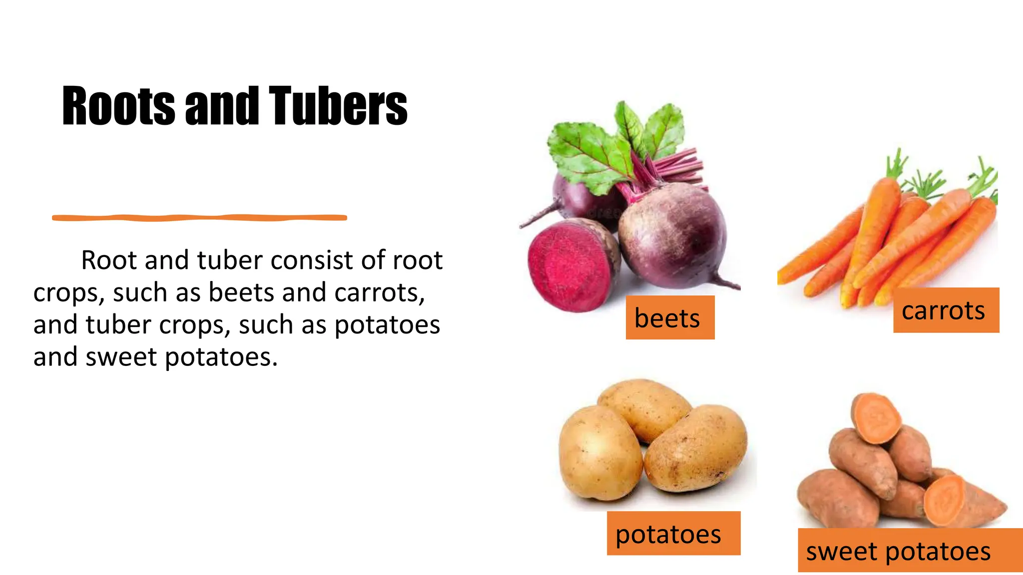 Roots and Tubers
Root and tuber consist of root
crops, such as beets and carrots,
and tuber crops, such as potatoes
and sweet potatoes.
beets carrots
potatoes
sweet potatoes
 