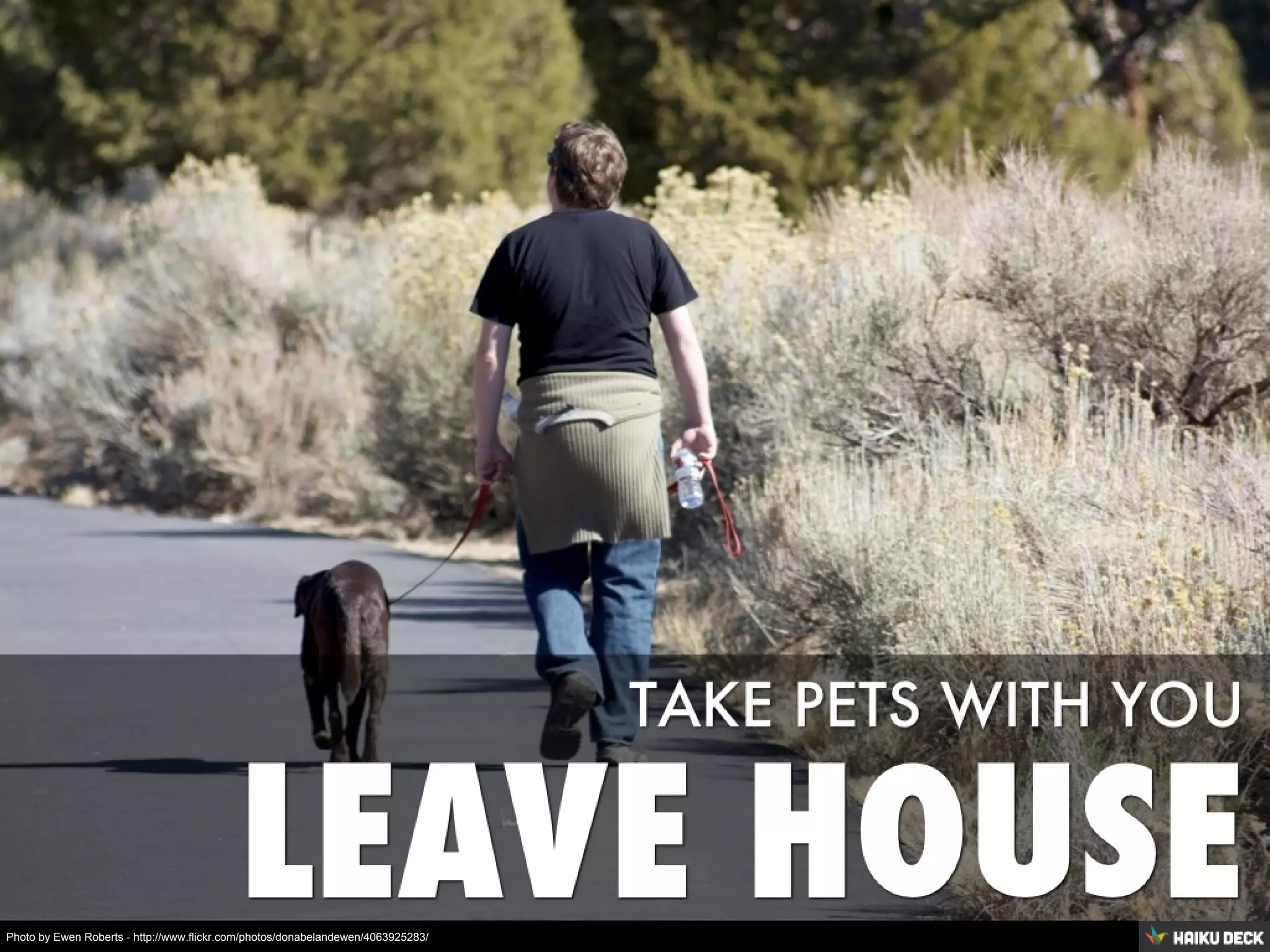 Photo by Ewen Roberts - http://www.flickr.com/photos/donabelandewen/4063925283/
 