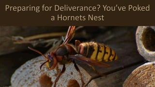 Preparing for Deliverance? You’ve Poked
a Hornets Nest
cc: Jonathan Zimmermann - https://www.flickr.com/photos/128867994@N07
 