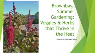 Brownbag-
        Summer
     Gardening:
Veggies & Herbs
  that Thrive in
       the Heat
       Presented by Eileen Kane
 