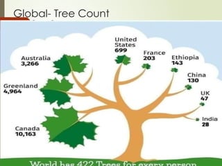 Using Tree Show Countrites Preparing Geographical Information Based Master Plans | PPTX