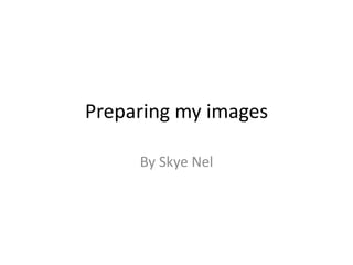 Preparing my images
By Skye Nel
 
