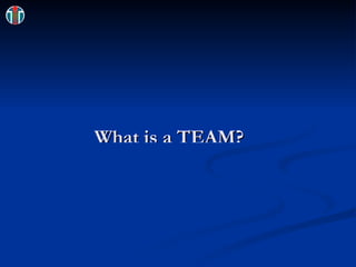 What is a TEAM? 