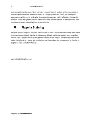 5 AmjadKhanAfridi
PreparedBy Amjad Khan Afridi
parts except the endospores. Next, safranin, a counterstain, is applied to the smear to sta in
portions of the cell other than endospores. In a properly prepared smear, the endospores
appear green within red or pink cells. Because endospores are highly refractive, they can be
detected under the light microscope when unstained, but they cannot be differentiated from
inclusions of stored material without a special stain .
 Flagella Staining
Bacterial flagella (singular: flagllum) are structures of loco - motion too small to be seen with a
light microscope without staining. A tedious and delicate staining procedure uses a mordant
and the stain carbolfuchsin to build up the diameters of the flagella until they become visible
under the light micro - scope. Microbiologists use the number and arrangement of flagella as
diagnostic aids. Animation Staining .
www.microbiologyplace.com
 
