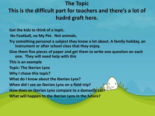 The Topic
This is the difficult part for teachers and there’s a lot of
hadrd graft here.
Get the kids to think of a topic.
No Football, no My Pet. Not animals.
Try something personal a subject they know a lot about. A family holiday, an
instrument or after school class that they enjoy.
Give them five pieces of paper and get them to write one question on each
one. They will need help with this
This is an example
Topic: The Iberian Lynx
Why I chose this topic?
What do I know about the Iberian Lynx?
When did I see an Iberian Lynx on a field trip?
How does an Iberian Lynx compare to a domestic cat?
What will happen to the Iberian Lynx in the future?
 