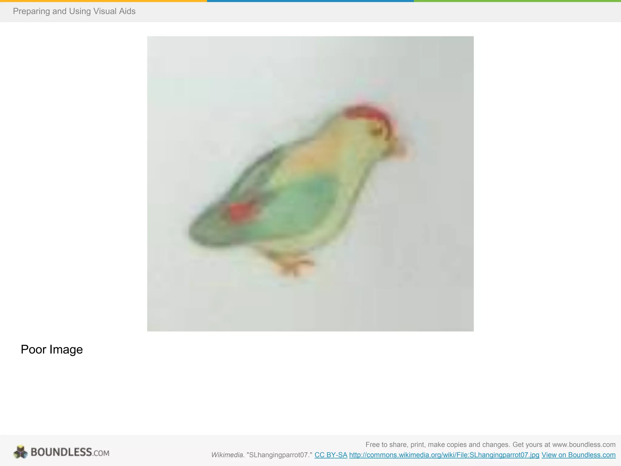 Preparing and Using Visual Aids

Poor Image

Free to share, print, make copies and changes. Get yours at www.boundless.com
Wikimedia. "SLhangingparrot07." CC BY-SA http://commons.wikimedia.org/wiki/File:SLhangingparrot07.jpg View on Boundless.com

 