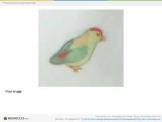 Preparing and Using Visual Aids

Poor Image

Free to share, print, make copies and changes. Get yours at www.boundless.com
Wikimedia. "SLhangingparrot07." CC BY-SA http://commons.wikimedia.org/wiki/File:SLhangingparrot07.jpg View on Boundless.com

 