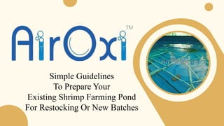Simple Guidelines
To Prepare Your
Existing Shrimp Farming Pond
For Restocking Or New Batches
 